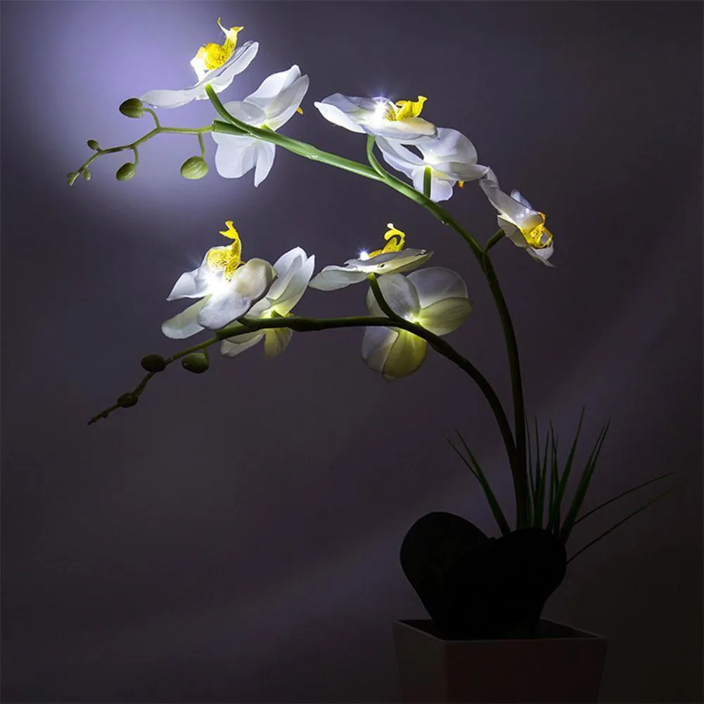 Lumibarty 9LEDS محاكاة Phalaenopsis وعاء مصباح مع ضوء أبيض للزينة Y200104