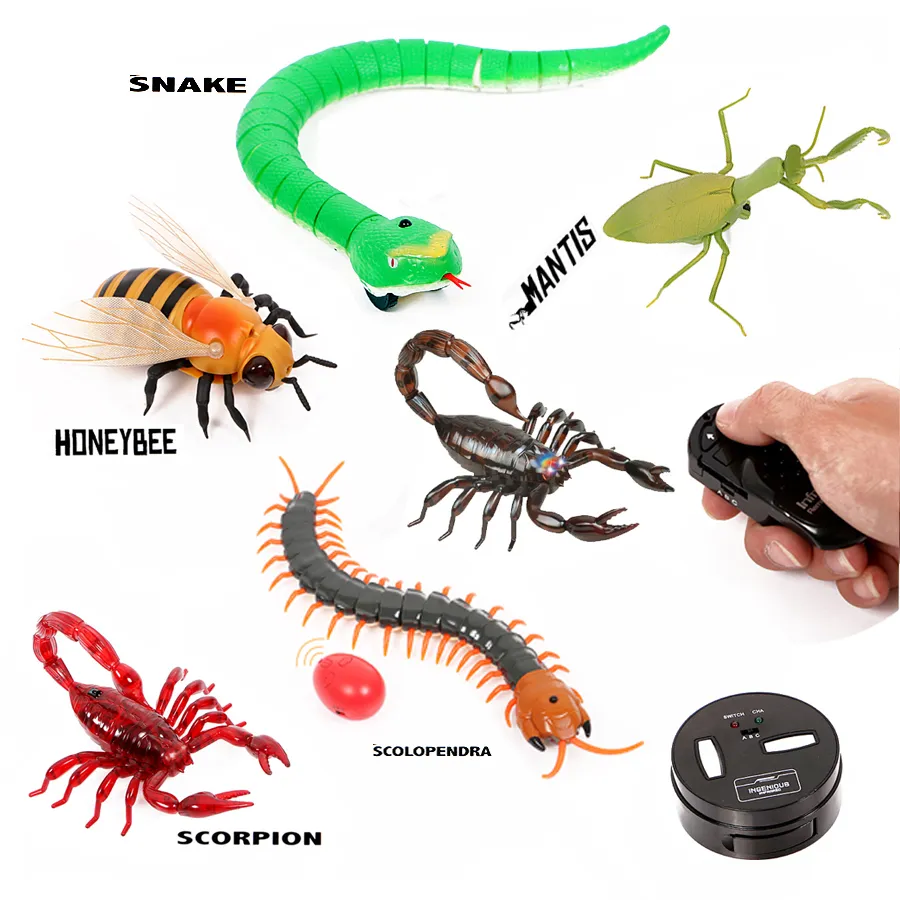 Remote control hot sale animal toys