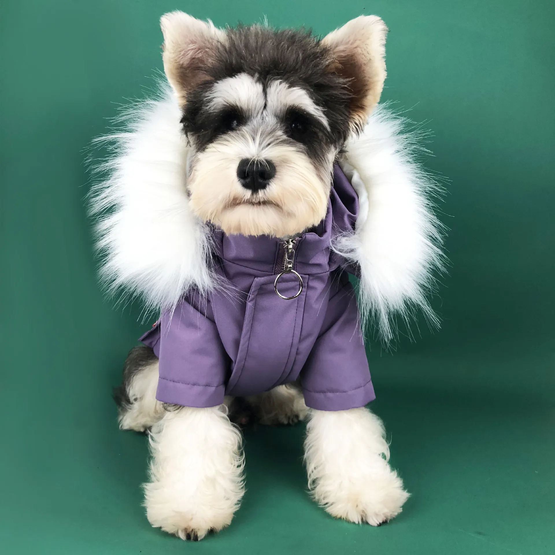 Inverno roupas para cães de estimação para cães pequenos animais de estimação roupas bulldog francês para baixo jaqueta pug traje filhote de cachorro vestuário pc1382 y2003282636