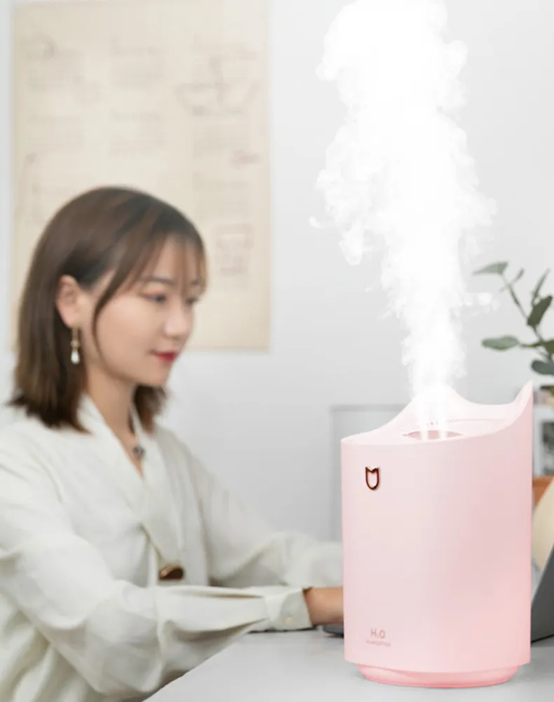 Livraison gratuite 3000ML Humidificateur d'air domestique Double buse Diffuseur d'arôme de brume fraîche avec lumière LED colorée Brouillard épais Humidificateur USB ultrasonique