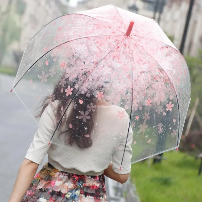 Apollo Cherry blossom Umbrellas Clear Cute Bubble Deep Dome Umbrella Gossip Girl Wind Resistance Umbrella DHL Free LXL1213