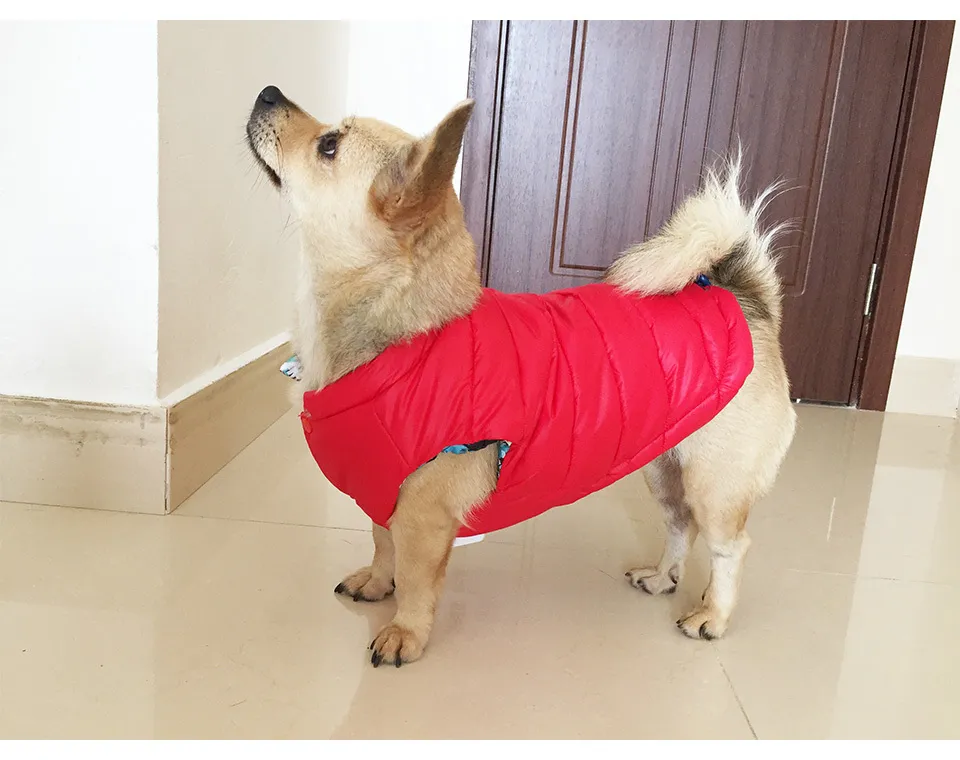  New Double-sided Wear Dog Winter Clothes Warm Vest Camouflage Letter Pet Clothing Coat For Puppy Small Medium Large Dog XXL 335