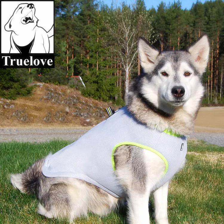 Chaleco discount tipo husky
