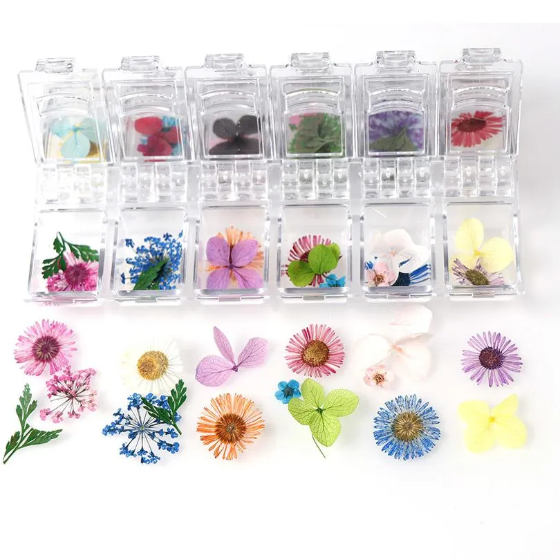 Japanische Trockenblumen 12 Blütenblätter Echte Blume Ewige Blume Fototherapie Kristallbox für UV-Harz Epoxidform De jllwnd