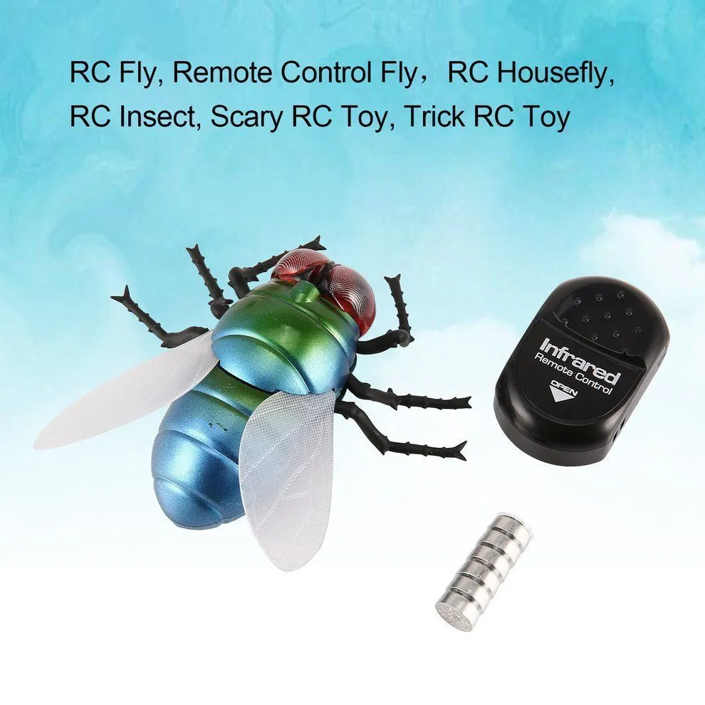 House shop fly camera