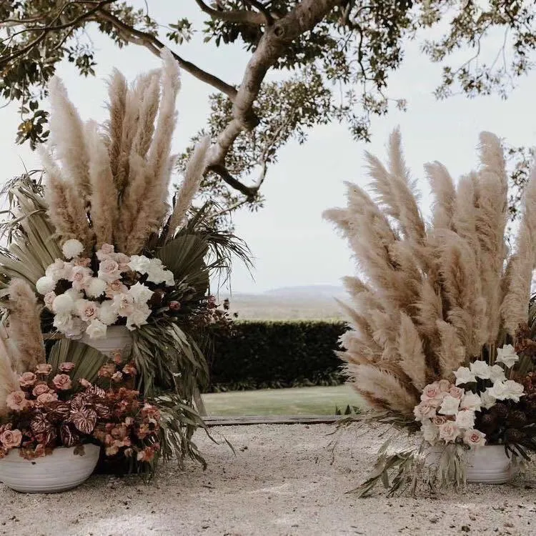 50 Pampa Secca, Decorazione Da Tavolo Boho, Fiori Secchi Di Coda Di Coniglio, Erba Di Pampa Bruna, Bouquet Di Fiori Secchi Per Matrimonio, Decorazione Domestica, Matrimonio - 8