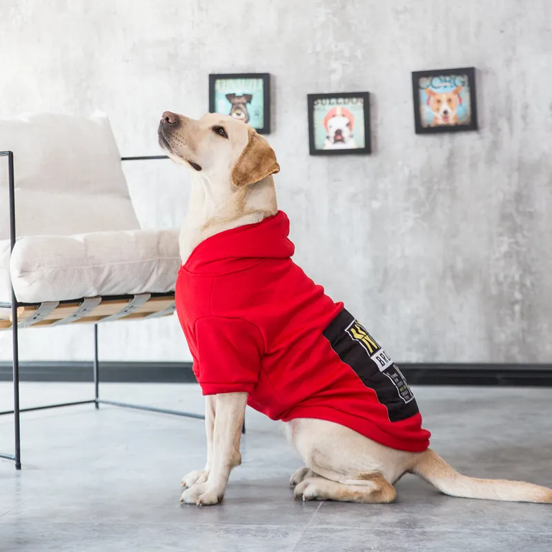 Reddy dog hoodie hotsell