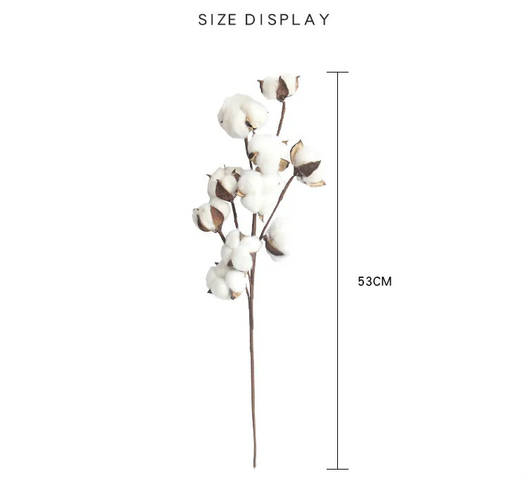 10HeadsNaturally-Dried-Cotton-Flower-Artificial-Plants-Floral-Branch-for-Wedding-Party-Decoration-Fake-Flowers-Home-Decorflower (5)