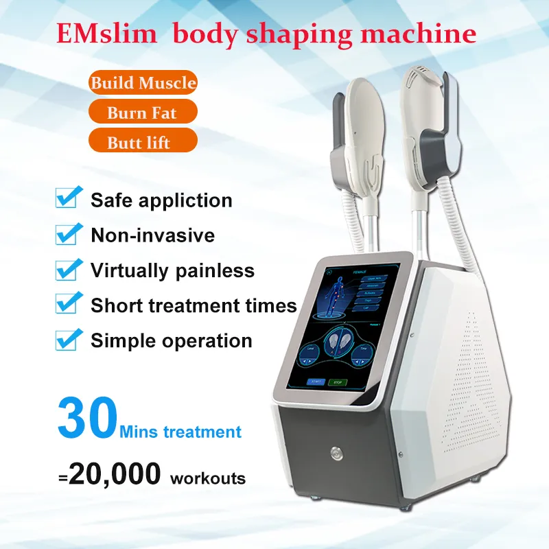 휴대용 Emslim 기계 자극 슬리밍 바디 전자기 근육 건물 EMT EMS 기계