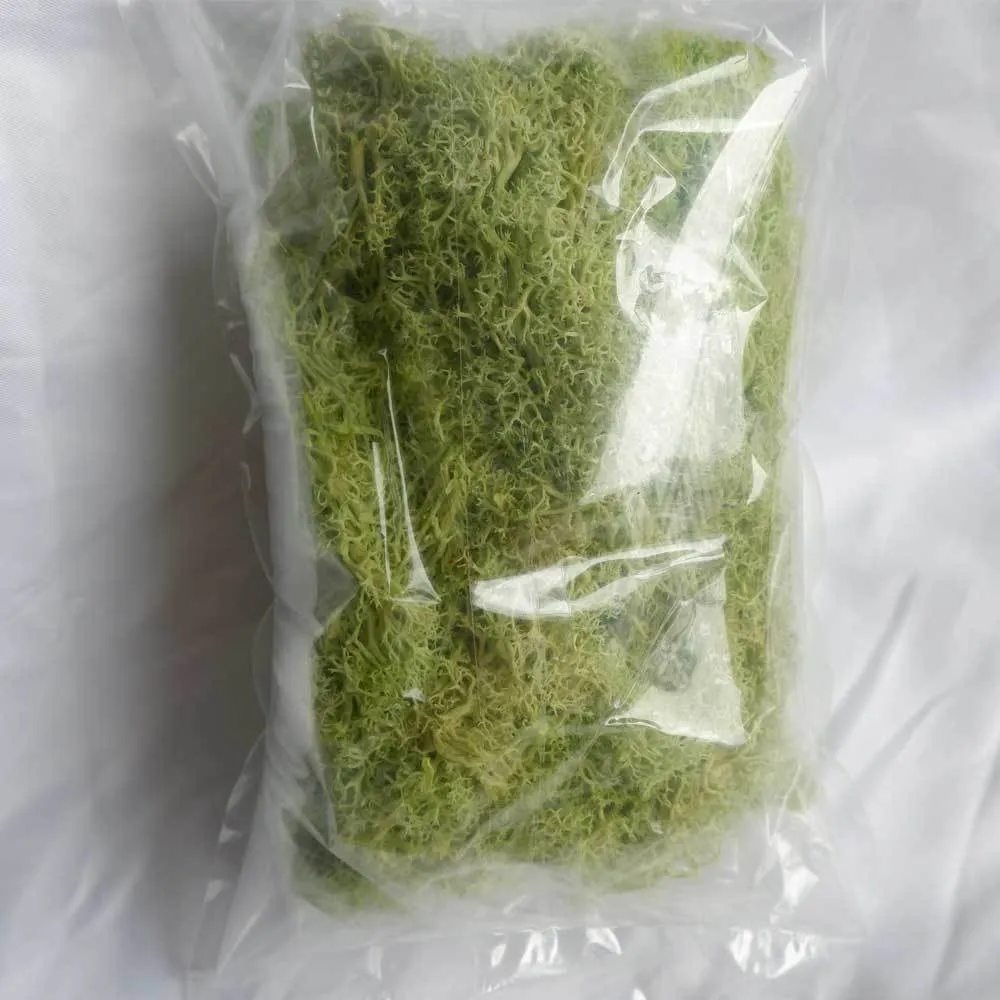 100g Natural Eternal Dried Moss For Plants Artificial Reindeer