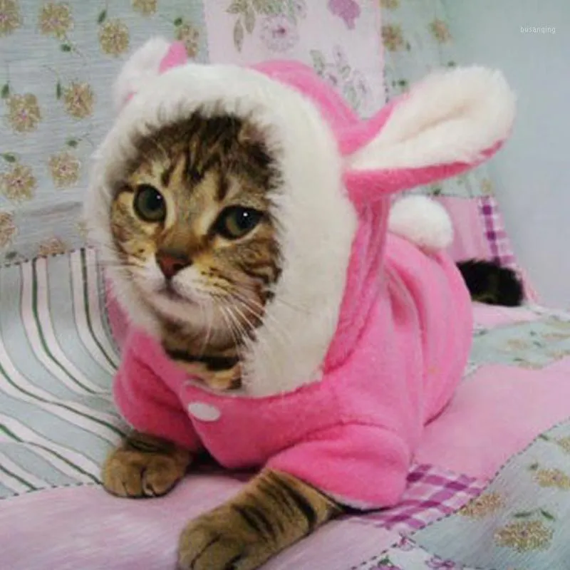Pet hoodies deals for cats