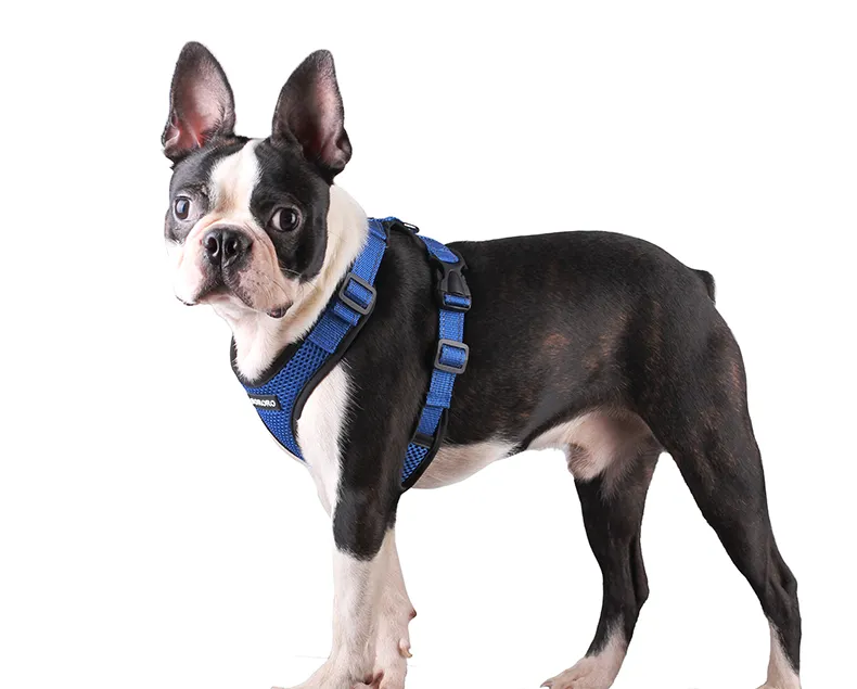 Dog Harness Vest (21)