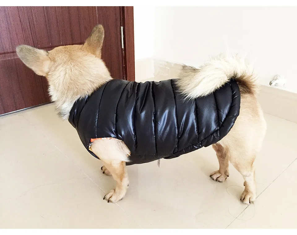 New Double-sided Wear Dog Winter Clothes Warm Vest Camouflage Letter Pet Clothing Coat For Puppy Small Medium Large Dog XXL 336