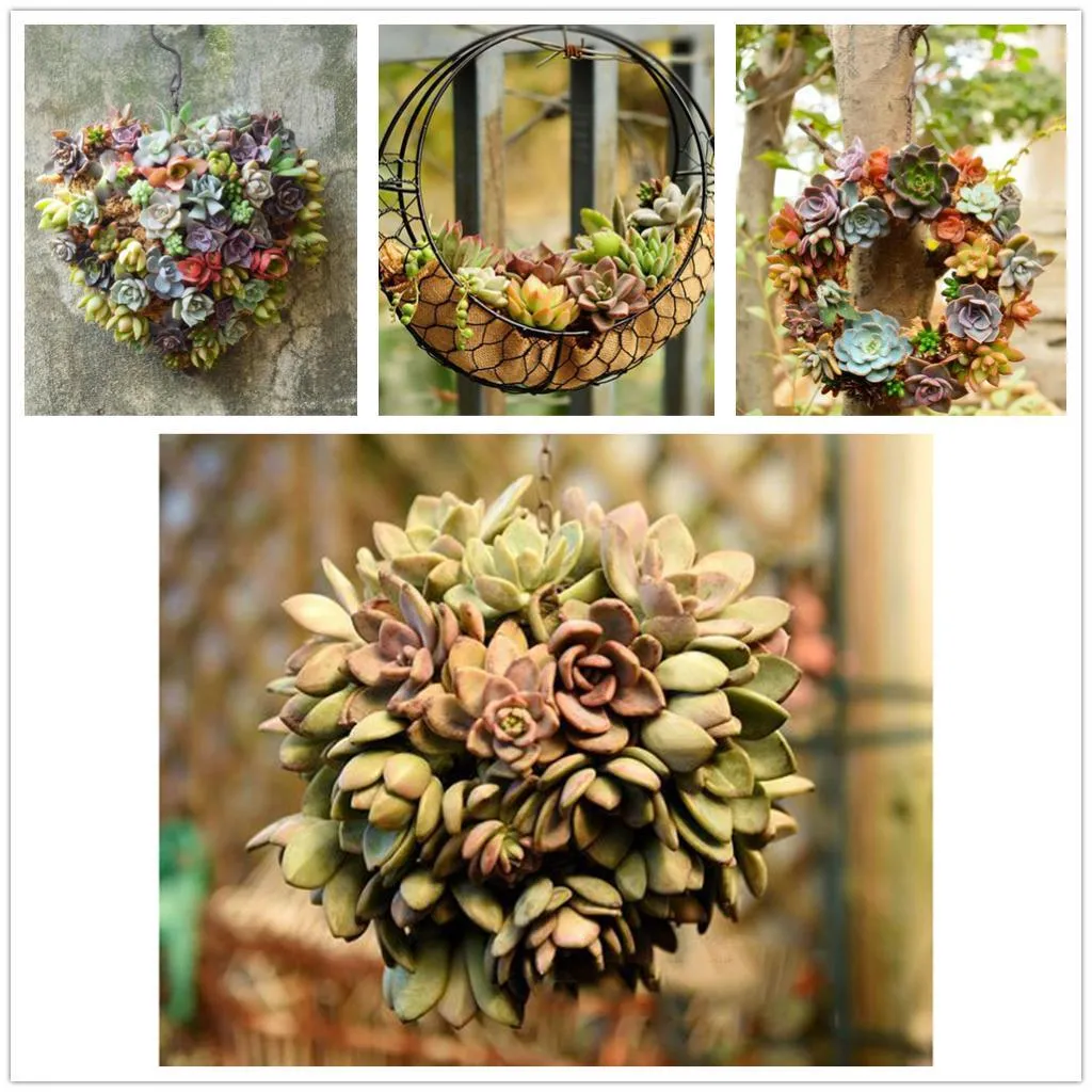 Rustic Iron Wire Wreath Frame Succulent Pot Iron Hanging Planter Plant Holder (Plants Are Not Included)