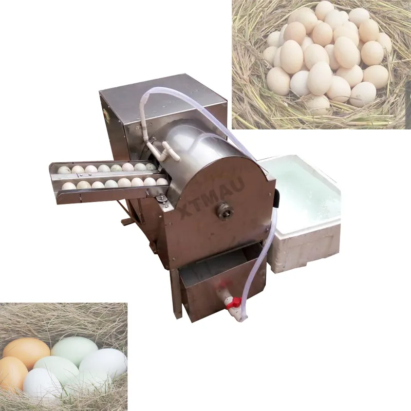 Automatic Duck Egg Washing Machine Egg Washer Machine For Sale With Low