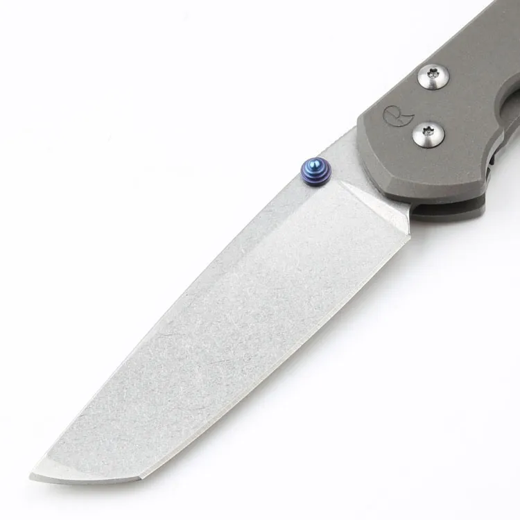 Chris Reeve Sebenza Inkosi 21th Idaho Made D2 Tanto Blade Tantico Copietto Tactico Coperone Outdoor Sopracciatura di sopravvivenza da campeggio EDC Colle3765981