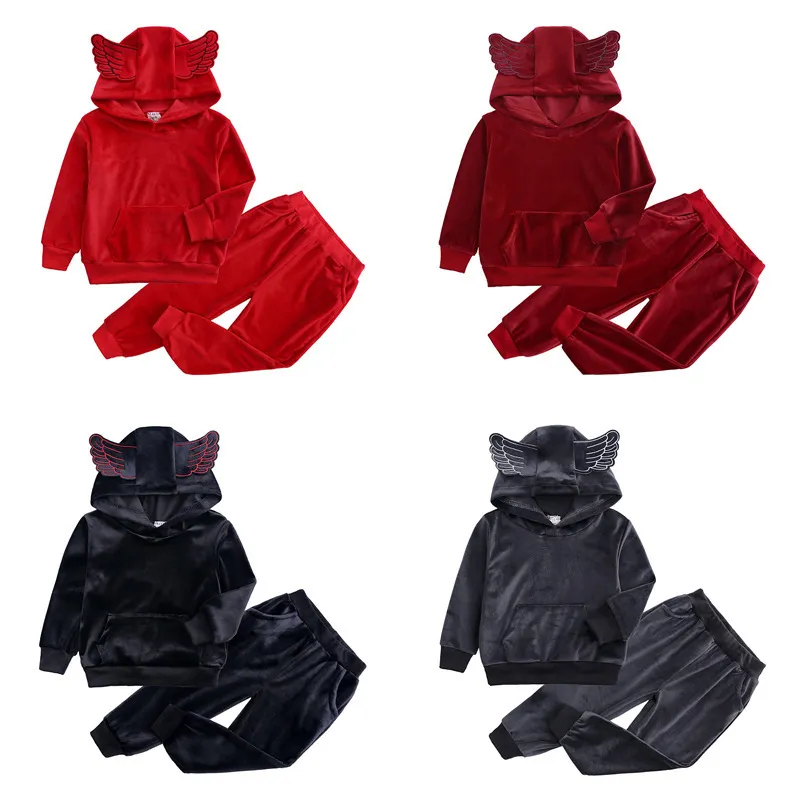 Hoodies Wing pants two piece set for kid boys girls clothes Velvet toddler costume 2019 outfits children tracksuit baby clothing