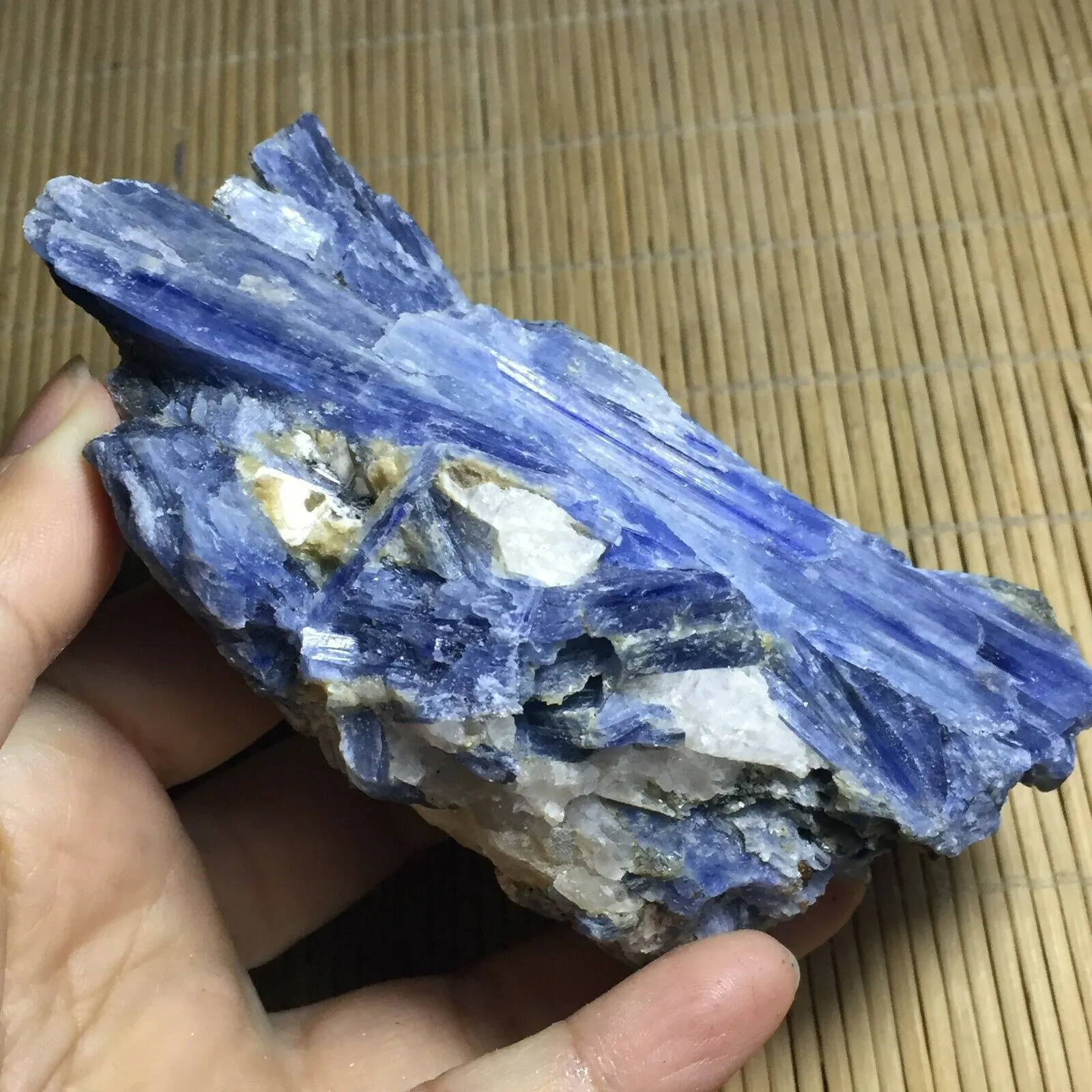 Rare Blue Crystal Natural Kyanite Rough Gem stone mineral Specimen Healing 2011252836