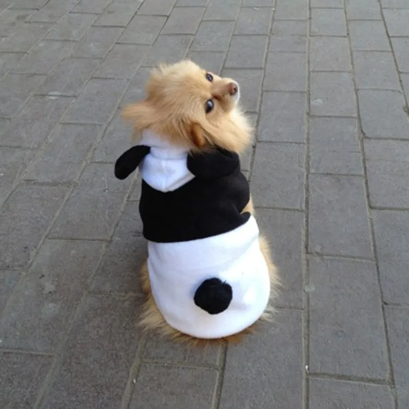 Cute Dog Cosplay Panda Winter Clothing Fleece Ear Hoody Pullover Ciepłe Kostium Płaszcz Do Małego Pies Chihuahua Puppy Pet Kurtka Y200922