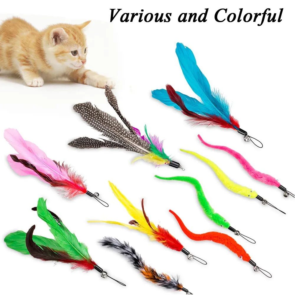 Teaser Cat Catcher Retractable Fishing Pole Wand Rod Feather Toy, Great For  Kitten Dog Exercising LJ200826 From 7,03 €