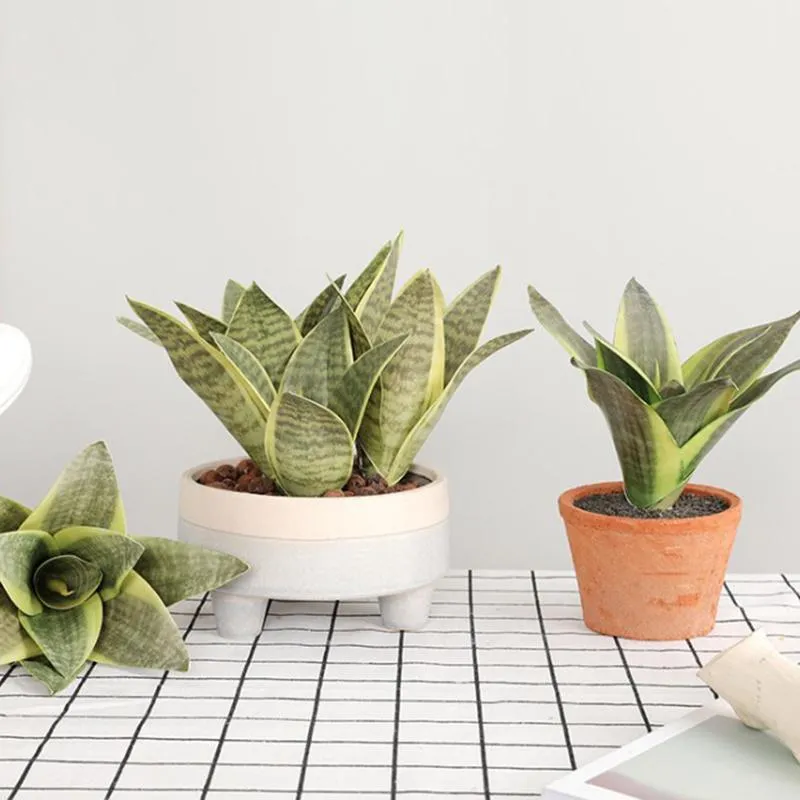 Fake Desert Plants Artificial Flower Sansevieria Trifasciata Simulation