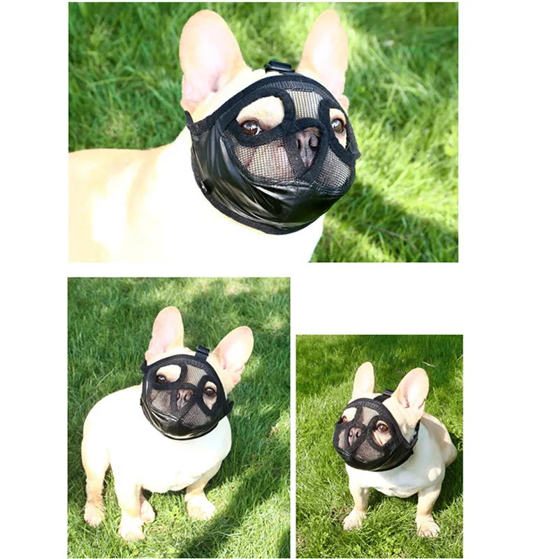 Pug mouth guard hotsell