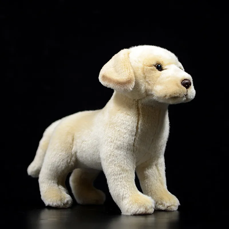 Husky De Sibérie Peluche Électronique Interactive - Jouet Chien Qui Marche, Aboye, Remue La Queue, Parfait Cadeau Enfants
