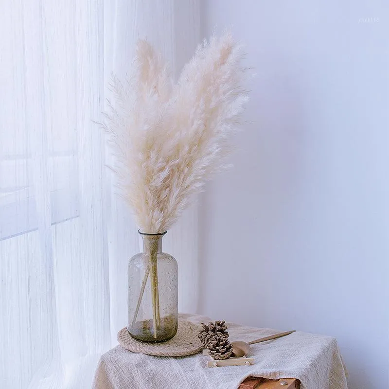 3 stks 60 cm beige natuurlijke riet gedroogde bloem grote pampas gras boeket bruiloft bloem ceremonie decoratie moderne huis decoratie1