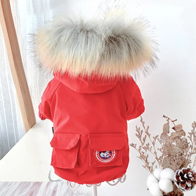 Canada goose dog jacket red outlet