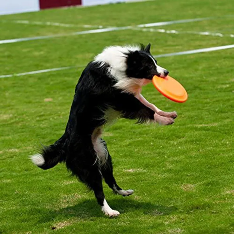 Food Water Bowl Dog Toy Flying Discs Training Silicone Flying Disc Lightweight Floatable War Catch Play Doubles