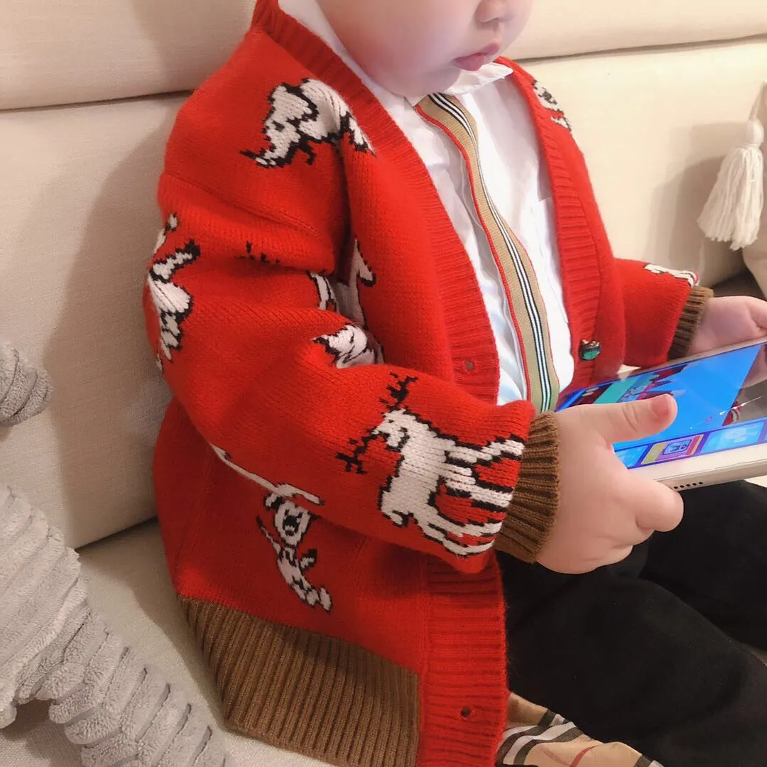 Boys red on sale cardigan sweater
