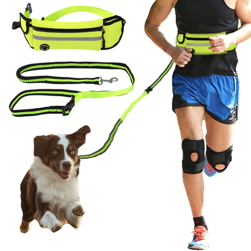 Laisses de course pour chien de compagnie ensemble de ceinture élastique collier mains libres accessoires pour animaux de compagnie laisse de harnais pour chiot