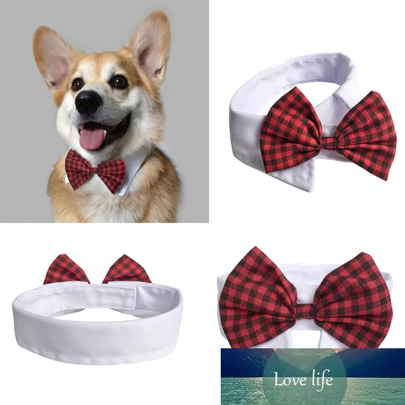 Cute Pet Dog Bow Tie Moda Cute Dog Cat Pet Puppy Bow Tie Krawat Kołnierz 5 Kolory Magiczne Naklejki Krawat Bawełniane Dostawy