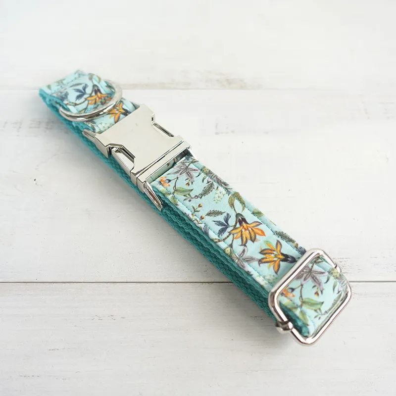 Dog Collar Turquoise (14)