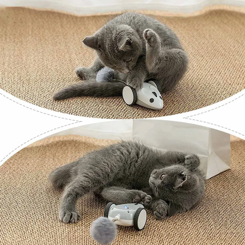 Bluetooth App 원격 제어 애완 동물 고양이 장난감 마우스 깃털 대화 형 무선 전기 캐치 이동 마우스 장난감 고양이 USB 충전 LJ2011176W