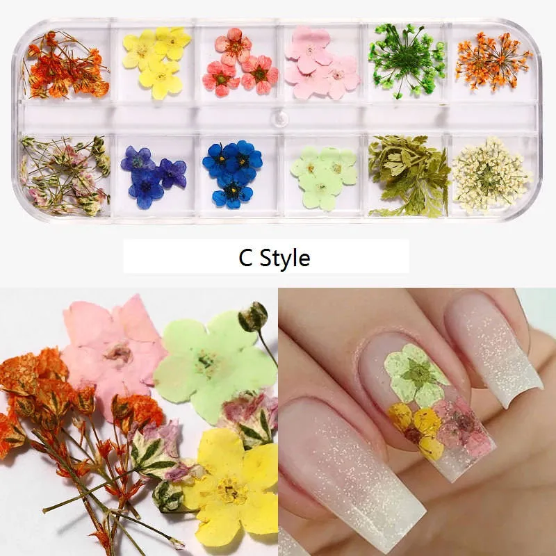 Fleurs séchées, fleurs séchées pour Nail Art, autocollant / décalcomanies 3D Nail Art, véritable naturel petites fleurs séchées pressées avec étoilé, feuilles, cinq fleurs et | FR Fleurs séchées, fleurs séchées pour Nail Art, autocollant / décalcomanies 3D Nail Art, véritable naturel petites fleurs séchées pressées avec étoilé, feuilles, cinq fleurs et | FR