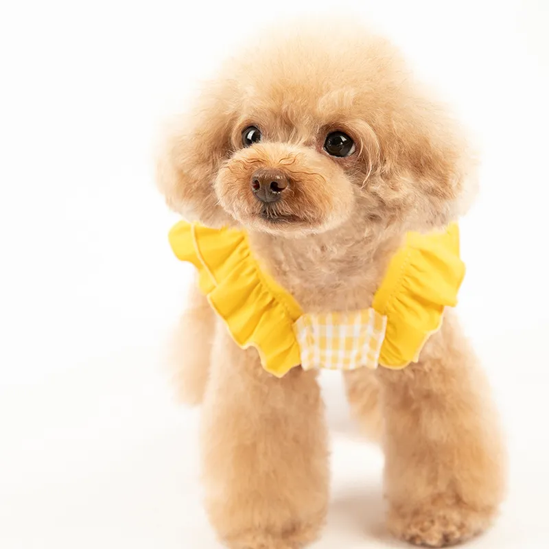 summer girl puppy dress (9)