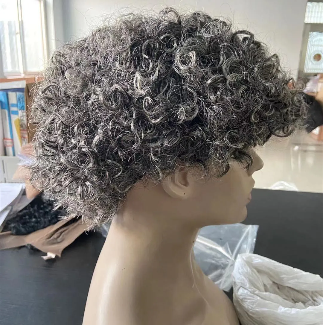 Cute Grey Afro Wigs For Women Short Kinky Curly Wig Natural Highlights Two Tone Mixed Ombre Grey Real Natural Hair For Black Women From 61 52 DHgate