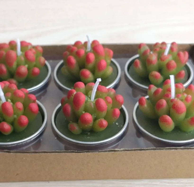Décor & Garden Drop Delivery 2021 12Pcs Cactus Cute Mini Set Artificial Succulent Plants Candles Home Decoration Candle Tea Light Xmas Gift