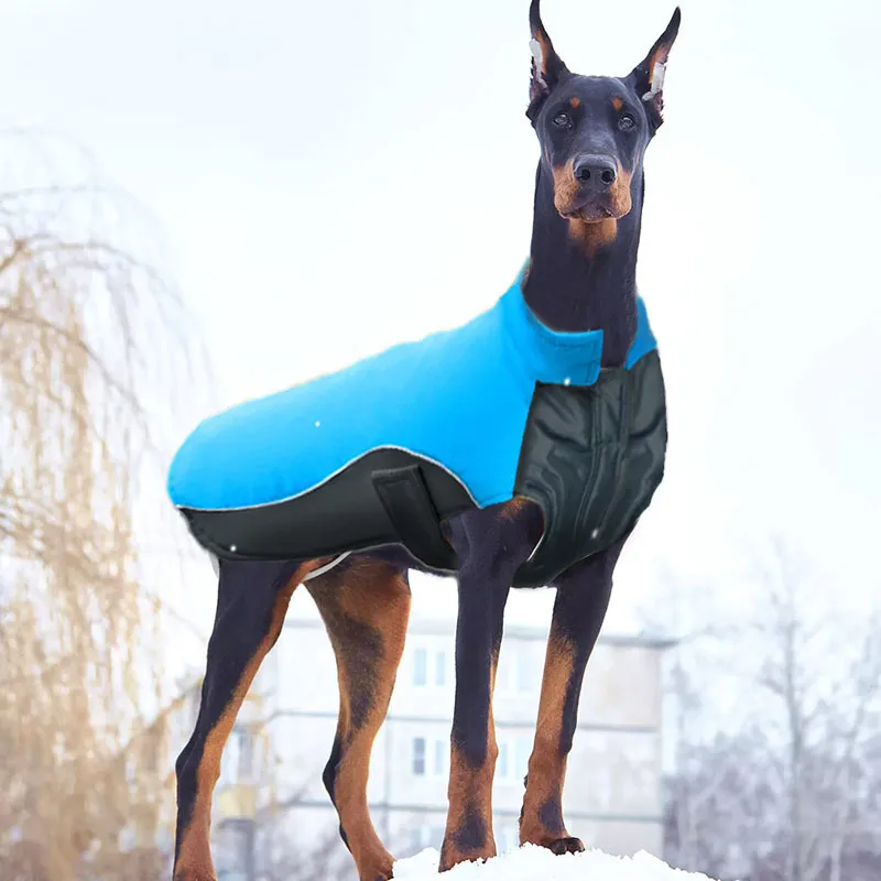 MySudui Small Big Dog Clothes Winter Waterproof Chihuahua Bulldog Fashion Dog Cloth Clothing For Dog Winter Coat Warm Ropa Perro 800