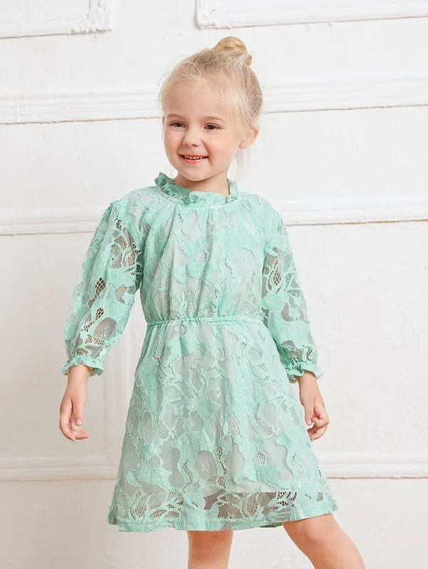 Toddler Girls Ruffle Neck Flounce Sleeve Lace Dress SHE