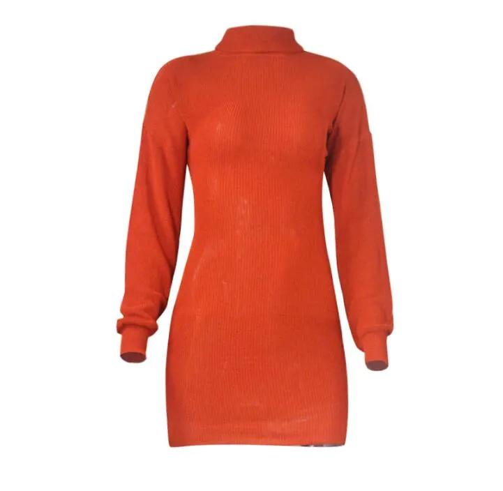 New Arrival Womens Casual Turtle Neck Long Sleeve Bodycon Sweater Sexy Dress Street Style Dresses Knitted Wool Shirt Skirt Size S-XL