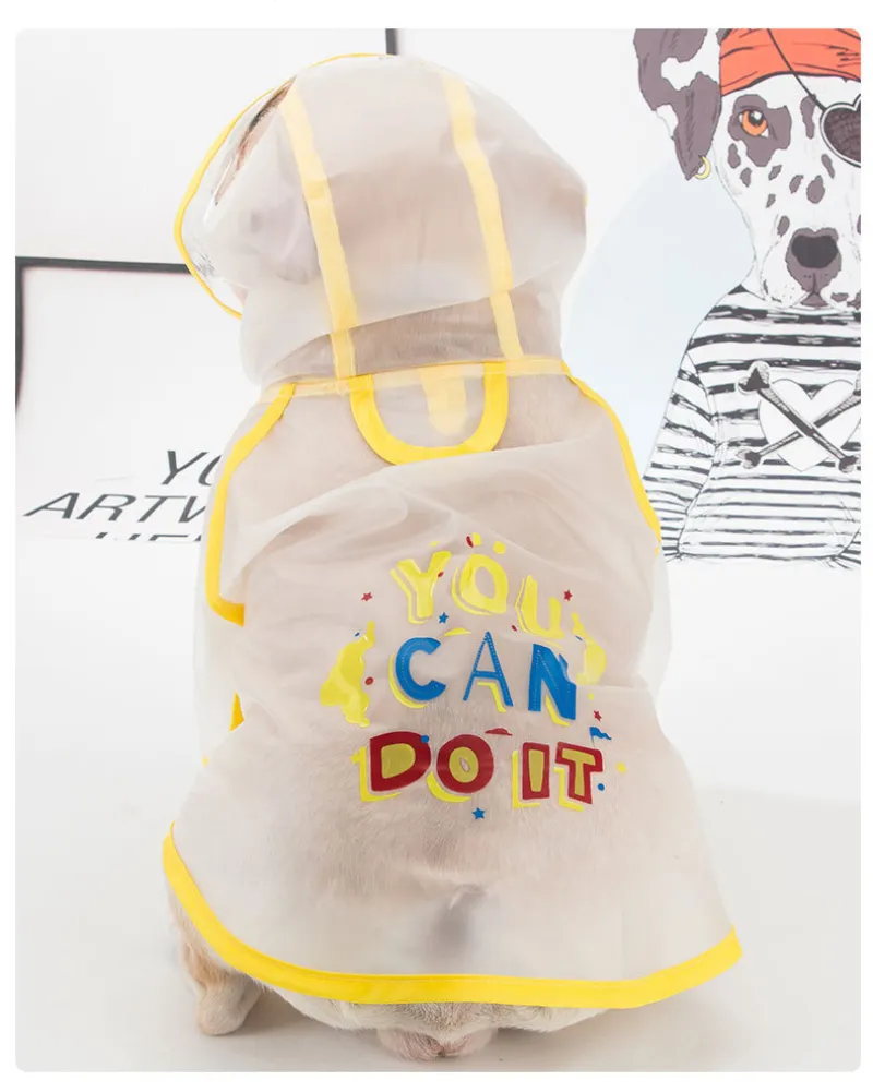 Descargar fondos de Adorablesy Lindos Cachorros De Pug | Wallpapers.com, image size:800x1001