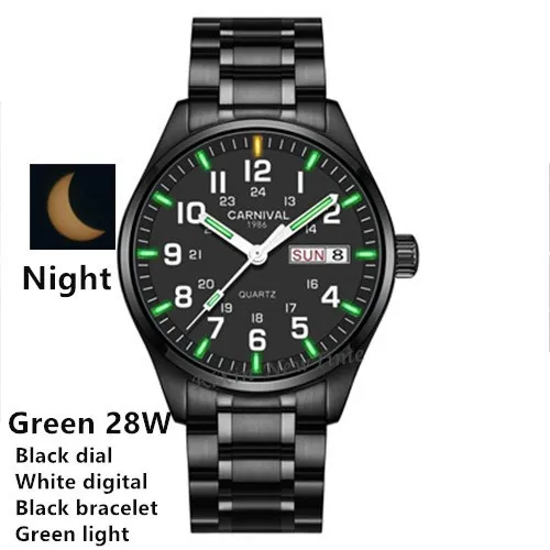 Carnival tritium watch sale