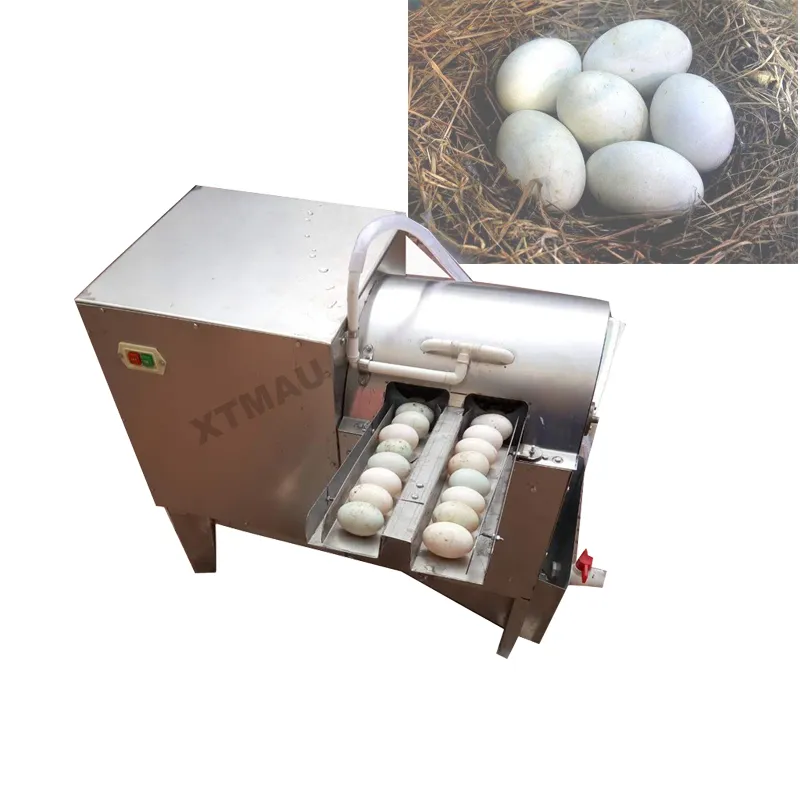 Nettoyeur automatique d'oeufs de poulet/machine de lavage et de nettoyage  d'oeufs à double ligne/nettoyeur d'oeufs de volaille 4000 pièces/heure avec