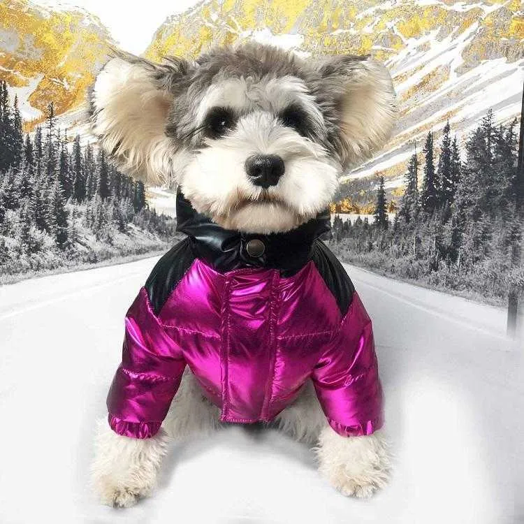 Hundkläder Vinter Populär skiddräkt Pet Down Jacket Puffer Cool Standsom Dog Coat Poodle Drop Ship 2 ColorsJK56