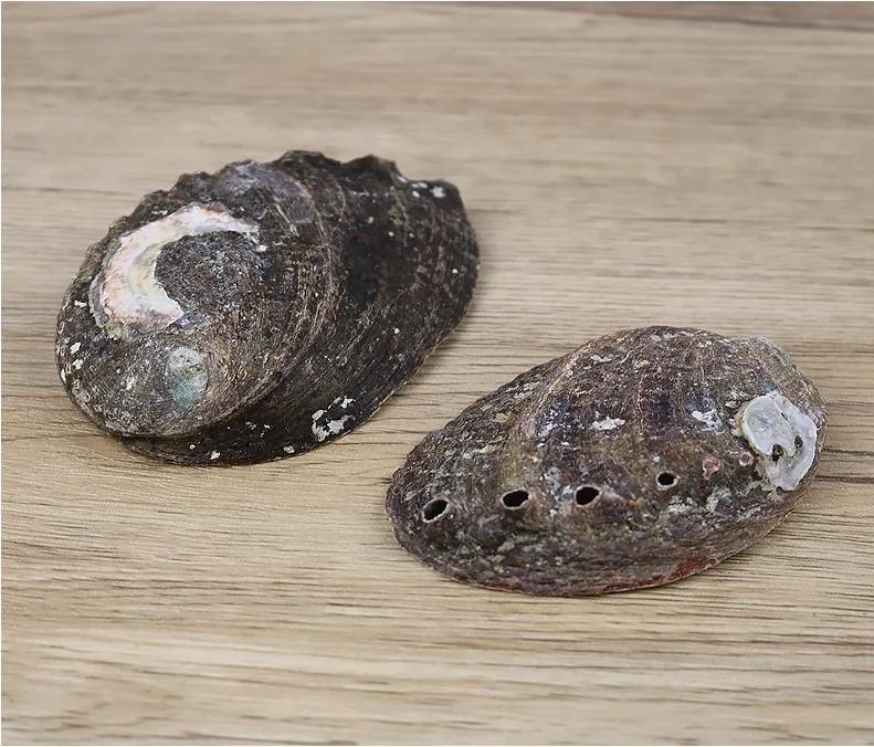 12cm Natural Abalone Shell Large Sea Shells Nautical Home Decor Soap Dish Diy Fish Tank Aquarium Landscape Wedding Decor H jllYHU