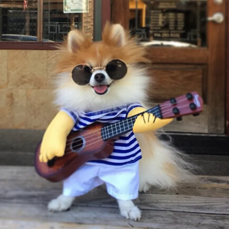 Costume guitare drôle pour animaux compagnie pour chien chat accessoires  pour a]