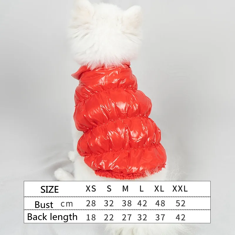 Stylish Designer Petco Dog Clothes Shiny Lamb Down Jacket For