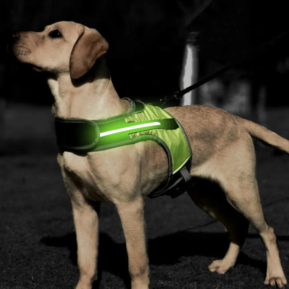 LED Dog Harness: Luminous Reflective Vest for Safe Night Walks Best  Seller!